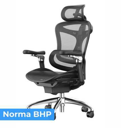 Ergonomiczny Fotel Biurowy ANGEL Kosmo