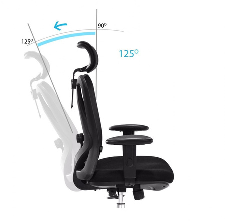 Fotel ANGEL Europa – Obrotowy Fotel Ergonomiczny do Biura